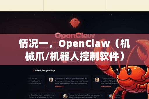 情况一，OpenClaw（机械爪/机器人控制软件）-第1张图片-OpenClaw 开源免费 -中文免费安装